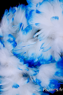 Frange dinde - long. plumes 10 cm - blanc pointe turquoise